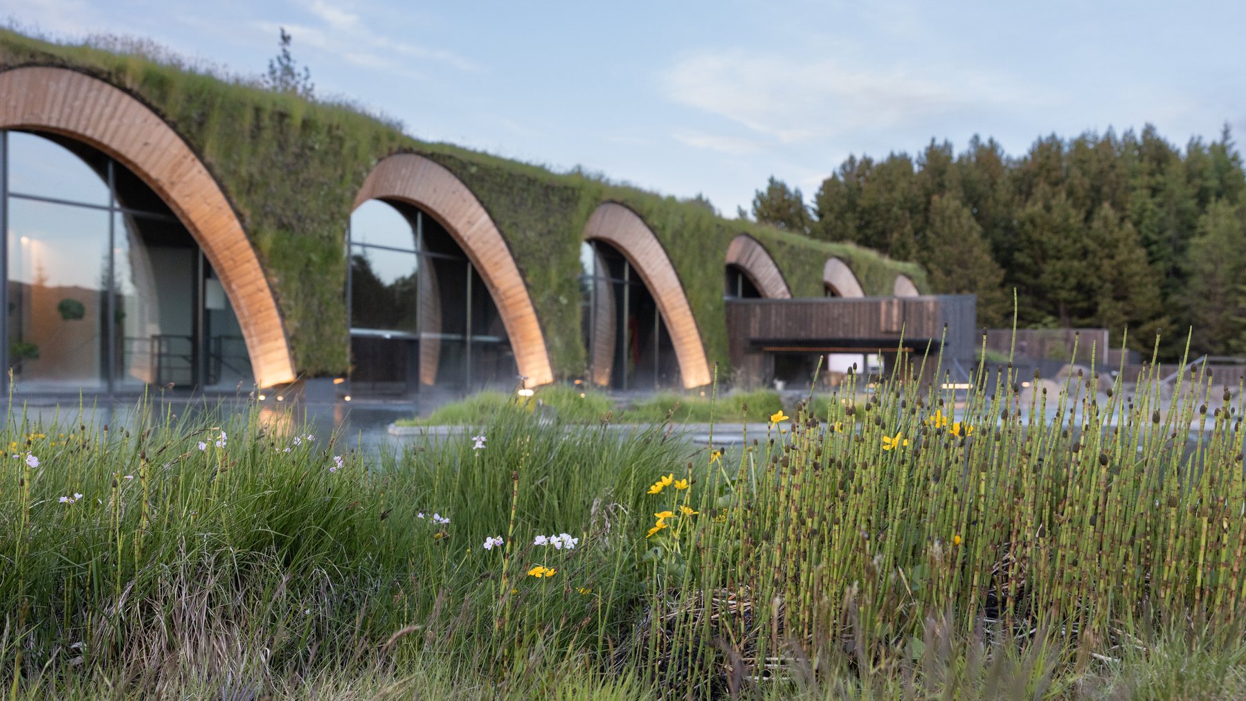 Curved Laugaras Lagoon architecture beside geothermal water