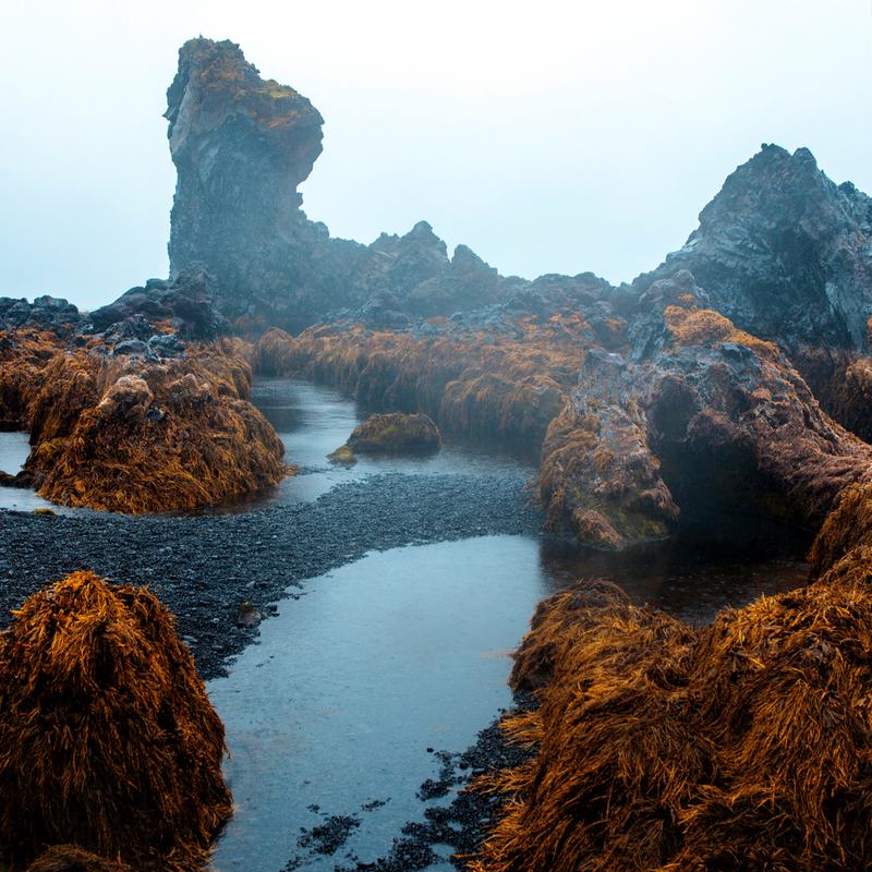 Lava rocks and pools on the Djúpalónssandur coast