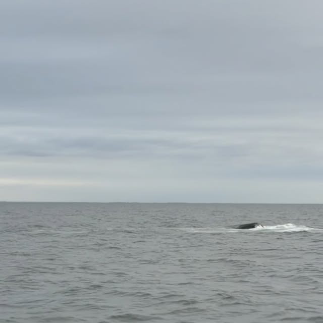 Hunter Schafer's Iceland photo, image 8 of 11