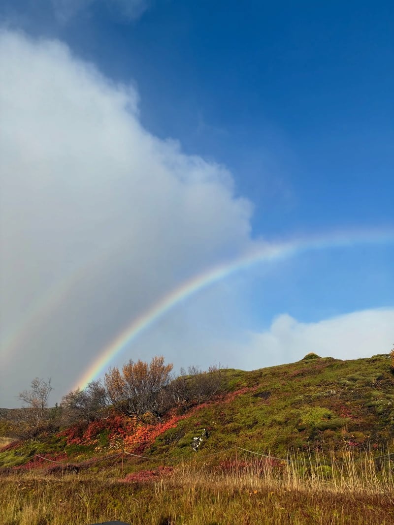 A rainbow over the Icelandic landscape