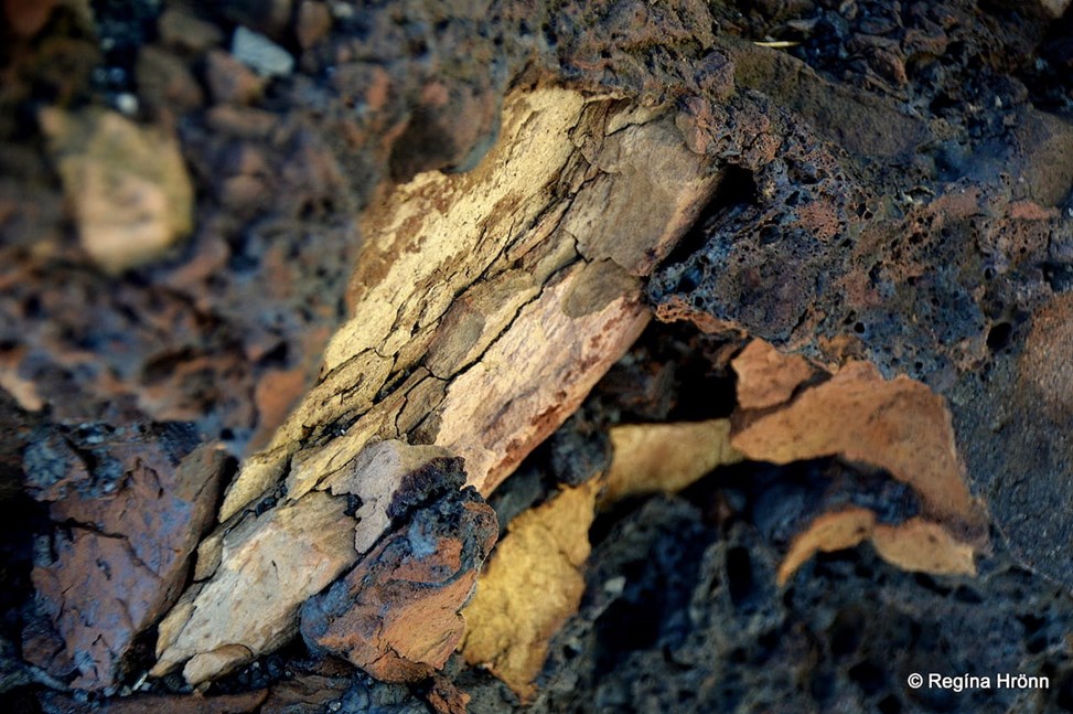 Detail of old lignite