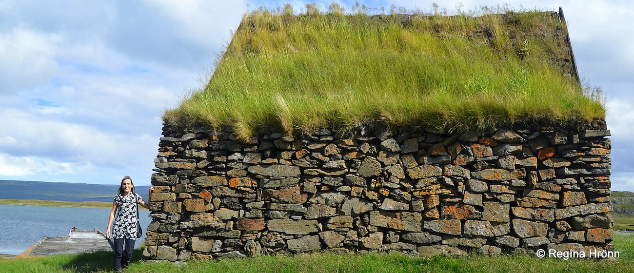 Regína, turf fish shed, sea