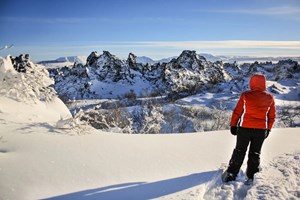 Lake Myvatn and Snowmobile Tour from Akureyri tour in Iceland