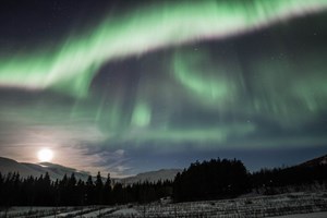Private Northern Lights Photography Tour tour in Iceland