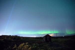 Northern Lights Minibus Tour with Pastries, Cocoa & Photos tour in Iceland