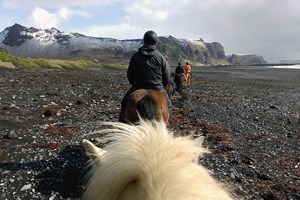 Sólheimajökull Glacier Hike & Horse Riding tour in Iceland