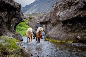 Valley of Horses – Marardalur Riding Tour tour in Iceland